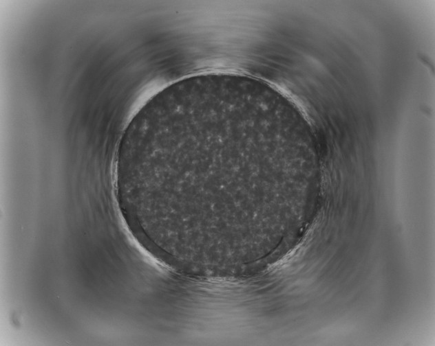 X0000097801383200804110913