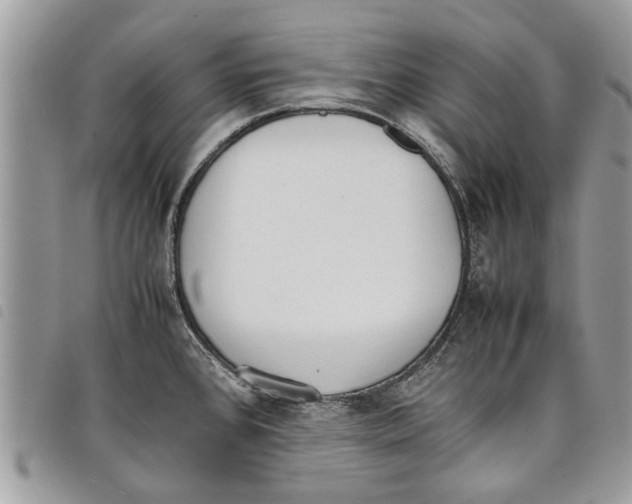 X0000097801384200804110913