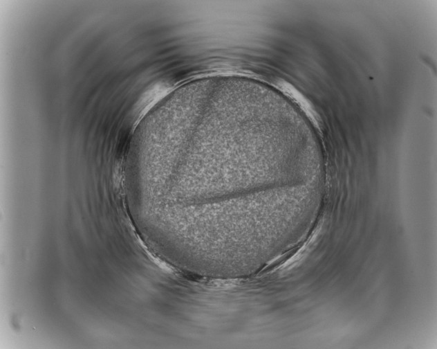 X0000097801385200804110913