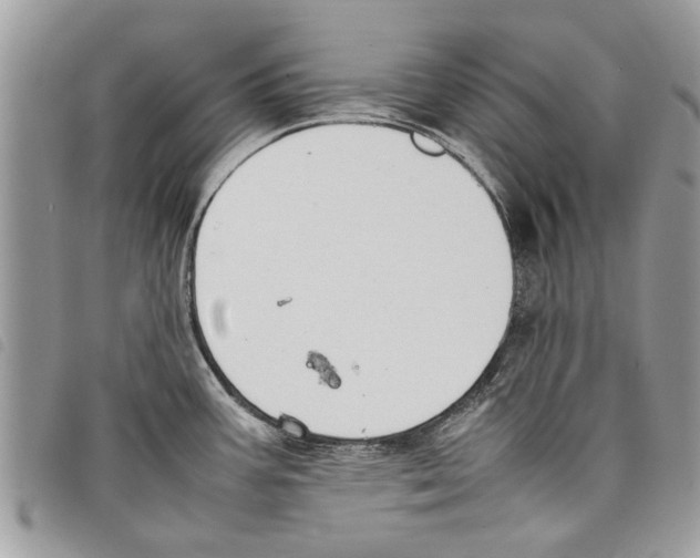 X0000097801387200804110913