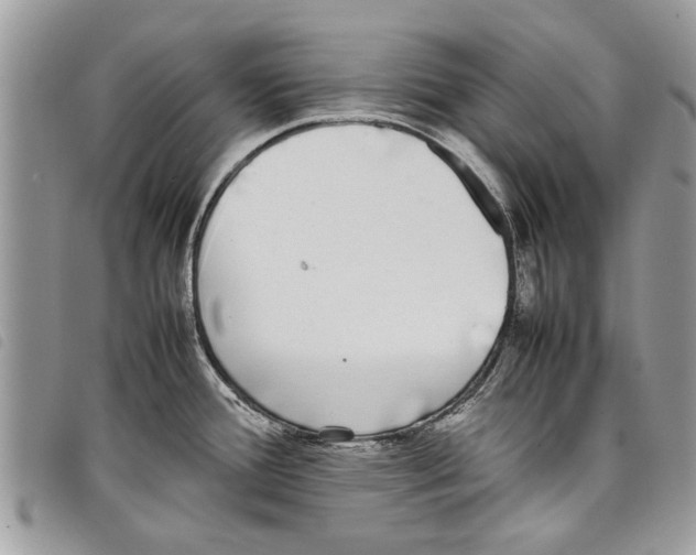 X0000097801388200804110913