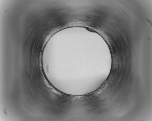 X0000097801390200804110913