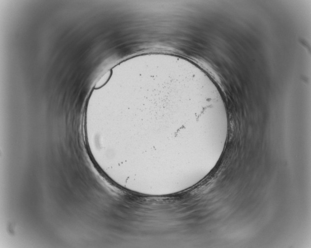 X0000097801391200804110912