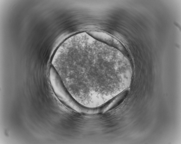 X0000097801392200804110912