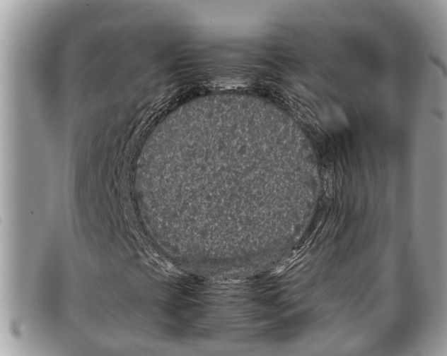 X0000097801393200804110912