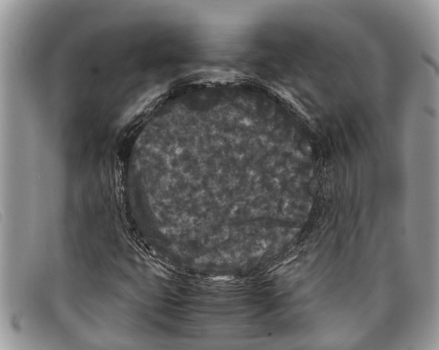 X0000097801399200804110912