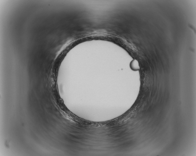 X0000097801400200804110912