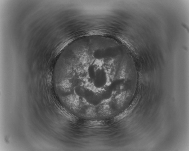 X0000097801401200804110912