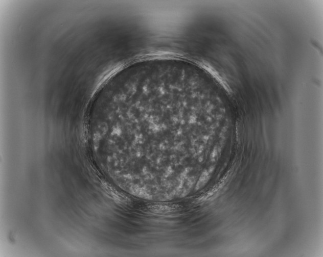 X0000097801405200804110912