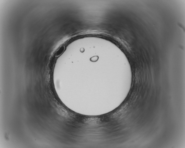 X0000097801406200804110912