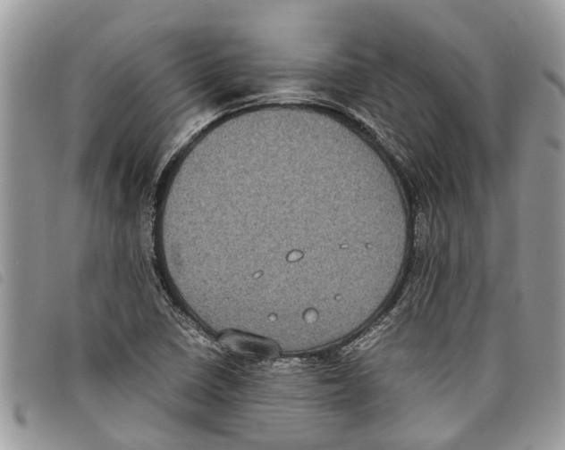 X0000097801410200804110912