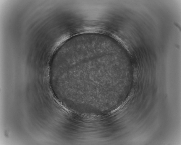 X0000097801411200804110912