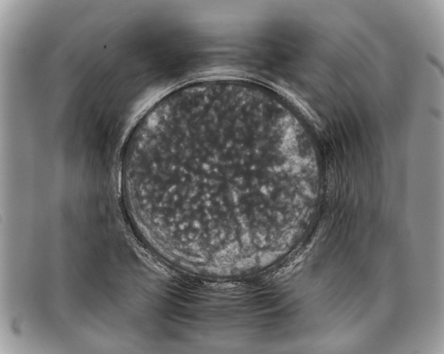 X0000097801413200804110912