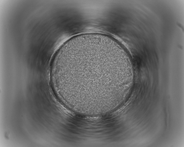 X0000097801415200804110912