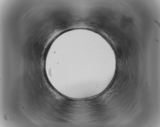 X0000097801416200804110912