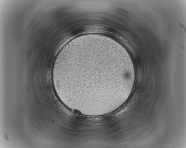 X0000097801417200804110912