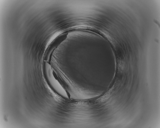 X0000097801418200804110912