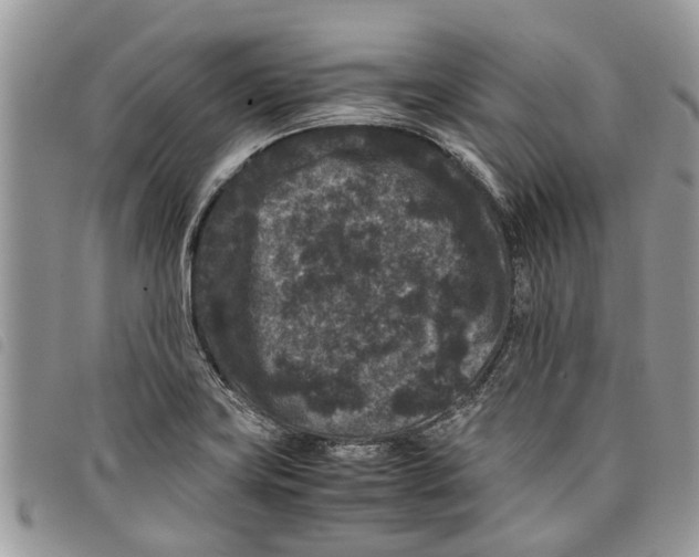 X0000097801419200804110912