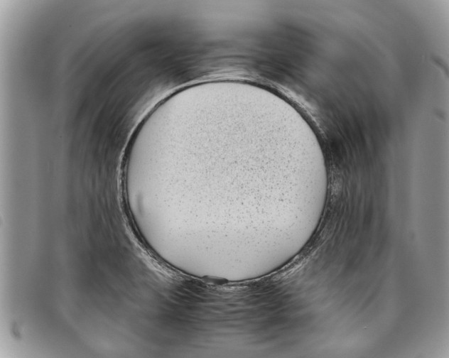 X0000097801423200804110912