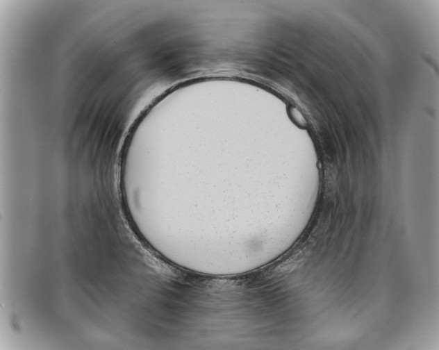 X0000097801424200804110912