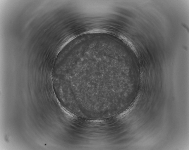 X0000097801425200804110912