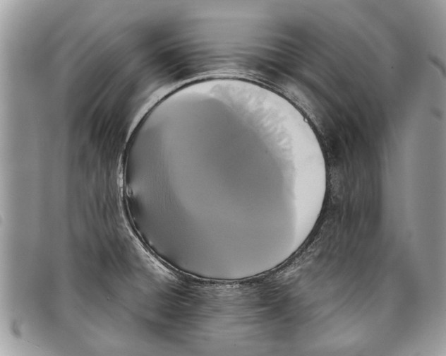 X0000097801428200804110912