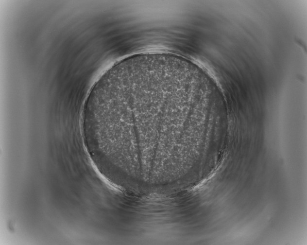 X0000097801429200804110912