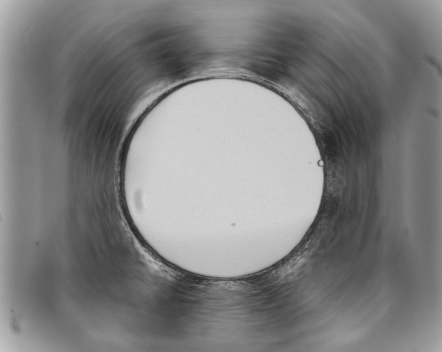 X0000097801430200804110912