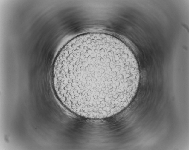 X0000097801432200804110912