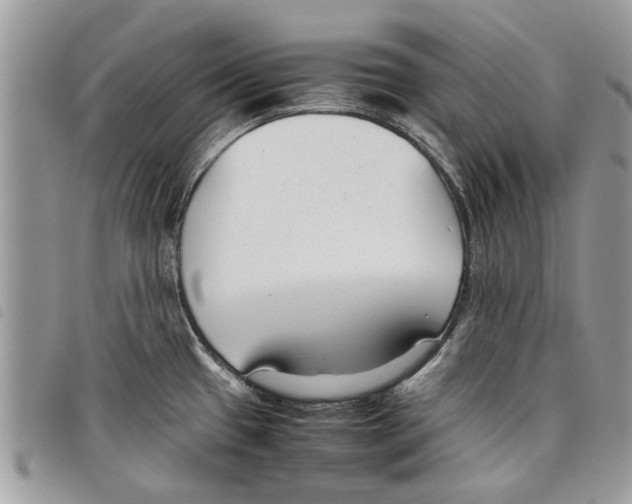 X0000097801433200804110912