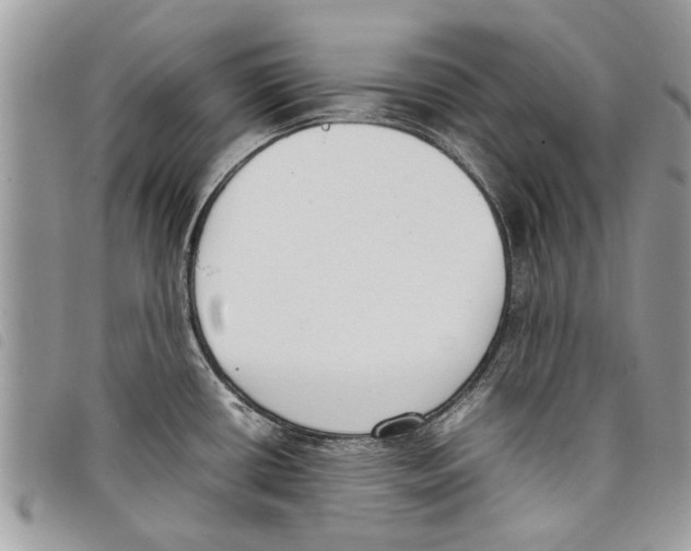 X0000097801434200804110912