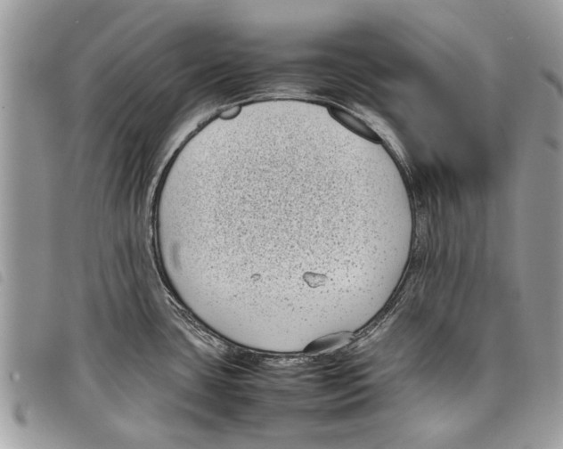 X0000097801435200804110912