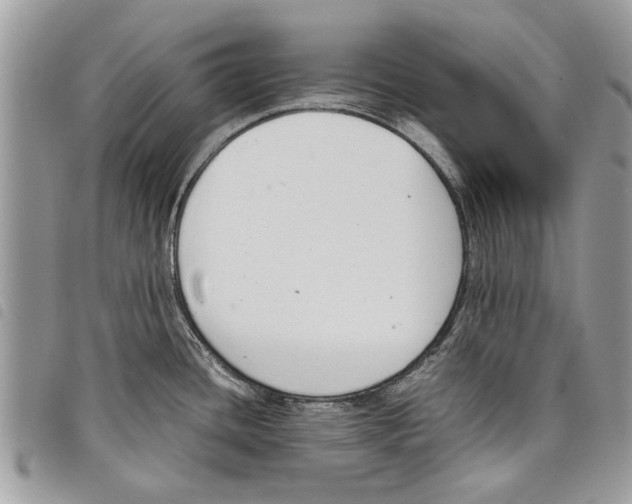 X0000097801436200804110912