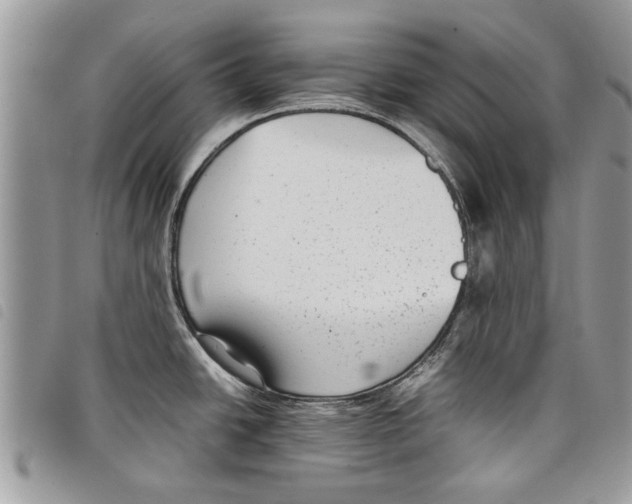 X0000097801438200804110912