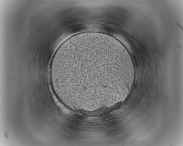 X0000097801439200804110912