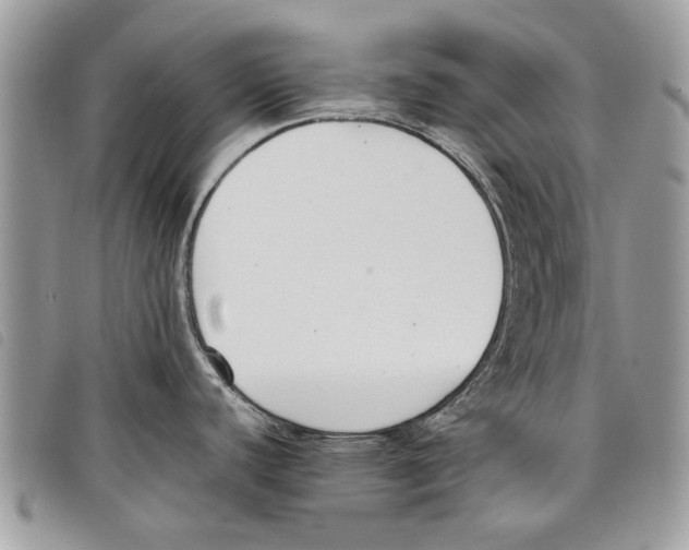 X0000097801440200804110912