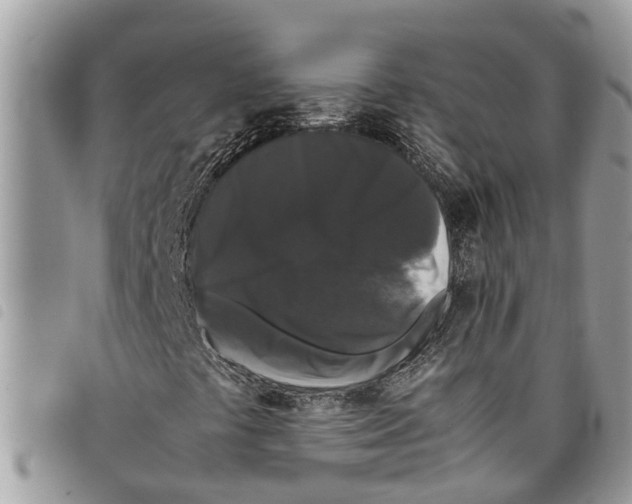 X0000097801441200804110912