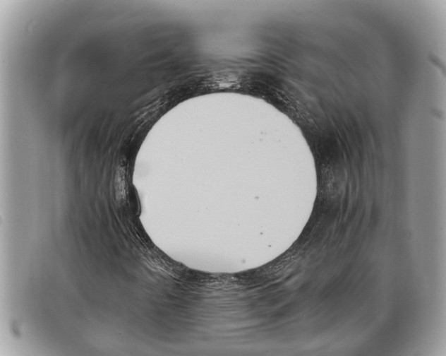 X0000097801442200804110912