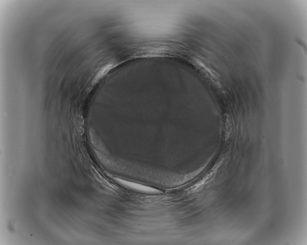 X0000097801449200804110912