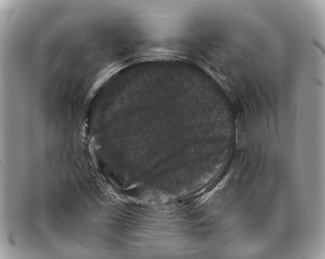 X0000097801453200804110911