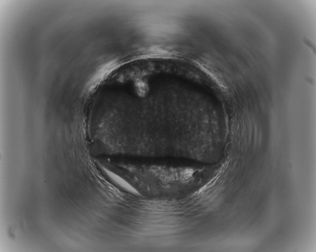 X0000097801455200804110911