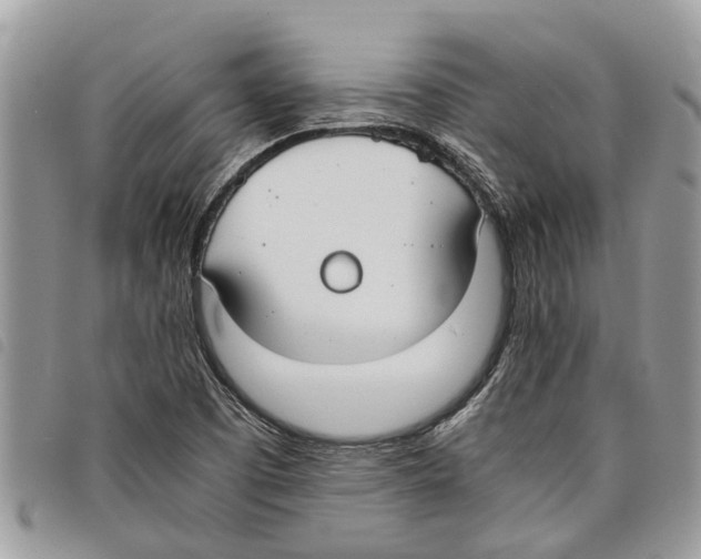 X0000097801457200804110911