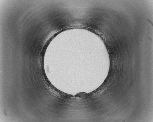 X0000097801458200804110911