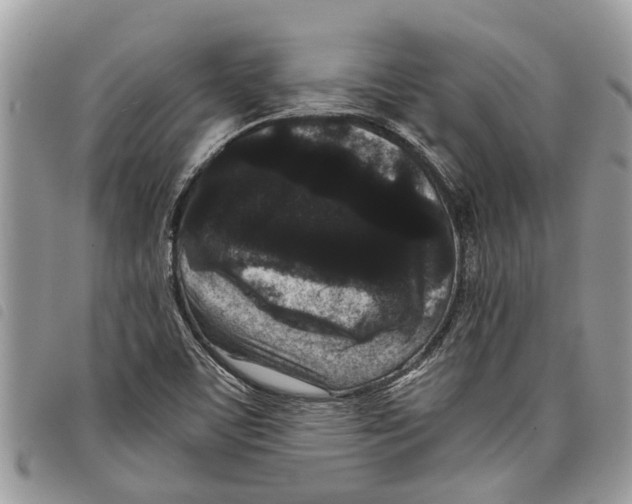 X0000097801459200804110911