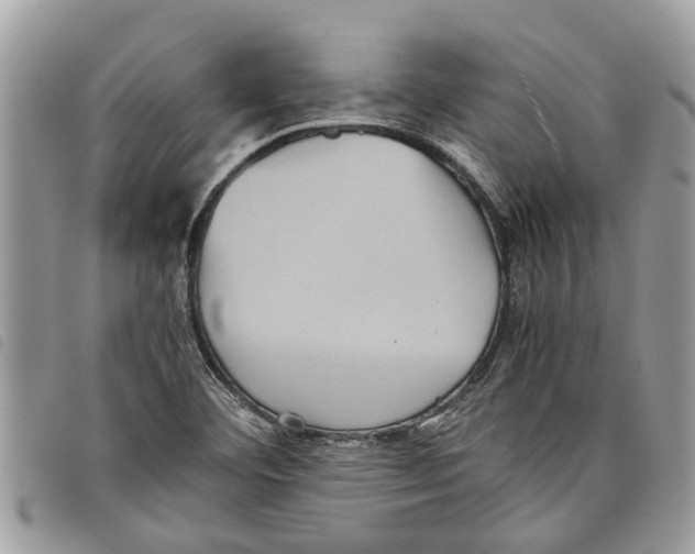 X0000097801460200804110911