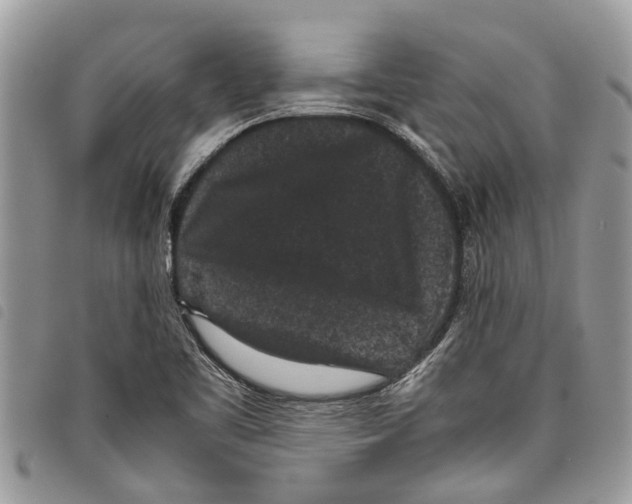 X0000097801461200804110911