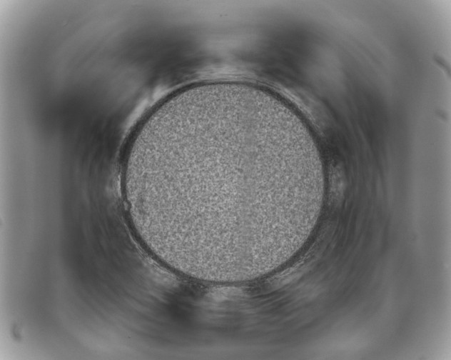 X0000097801462200804110911