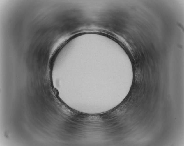 X0000097801464200804110911