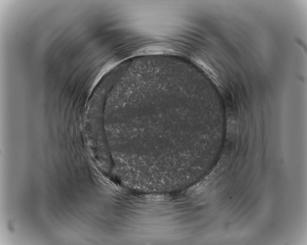 X0000097801465200804110911