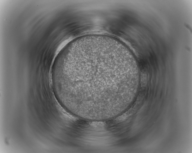 X0000097801466200804110911